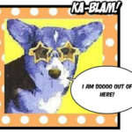 I’m Dog-Gone!