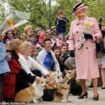 Ever seen Queen Elizabeth giggle?