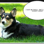 Cadi & Mr. Finnegan