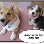 Zeke and Dexter