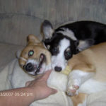 Max & Elsie