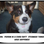 Ein