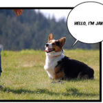 Jake