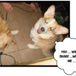 Libby & Dyddy