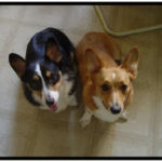 Roxi and Charlie