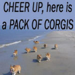 Cheer Up!