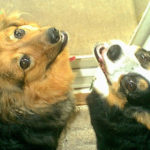 Addy & Nikki