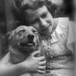 The Royal Corgis