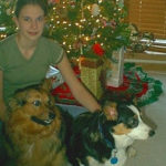 Your Christmas Corgi Photos — Day Four