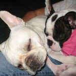 Special Saturday Post:  Benny & Lily