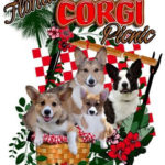 Recap:  2009 Florida Corgi Picnic