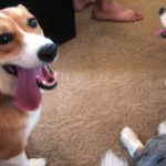 Ein