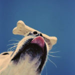 International Dog Biscuit Appreciation Day