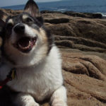 Maggie