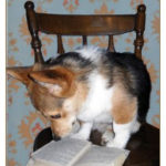 Read all about it …
