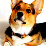 Tucker
