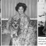 Actress Ava Gardner:  Owned by Corgis!