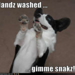 From the funny-pants pages of ihasahotdog.com …