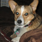 Izzy