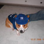 Mattingly