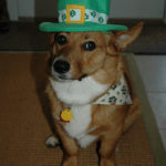 Happy St. Patty’s Day …