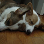 Roo & Dopey