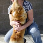 Jessica and Roby:  A story of lost and found …