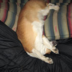 Nap Happy!