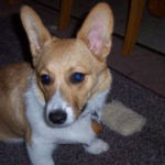 Ein