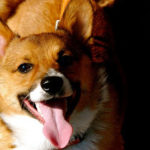 Saturday Smiler:  Mulder!