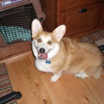 Spencer