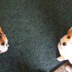 Chloe and Lou