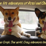 Tongues are wagging …