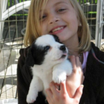 And they called it puppy love …
