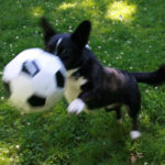 World Cup Special:  Grady gets it done!