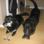 Sammy and Thora