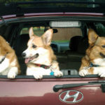 ROAD TRIP!