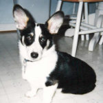 Bella Jo Cannoli