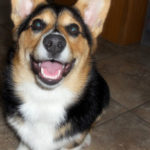 Saturday Smiler:  Butterball!