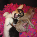 Look who made The Daily Squee today!!