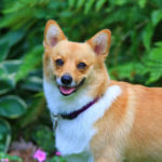 Josie, on her third birthday …
