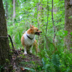 Josie beats the heat …
