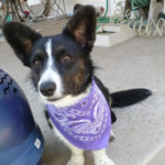 Cardi Corner:  Lola!