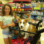 Petco …