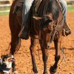 Pete and Tilley:  ’cause ya gotta have friends!