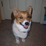 Saturday Smiler:  Tator!
