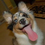 Toby