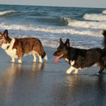Jimmy and Wilson and day’s dimming rays …