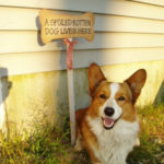 In Memoriam:  Diva