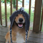 This week on the blog:  Fun Hat Friday!